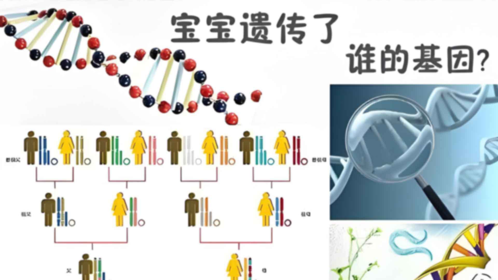 东方市怎么偷偷做亲子鉴定