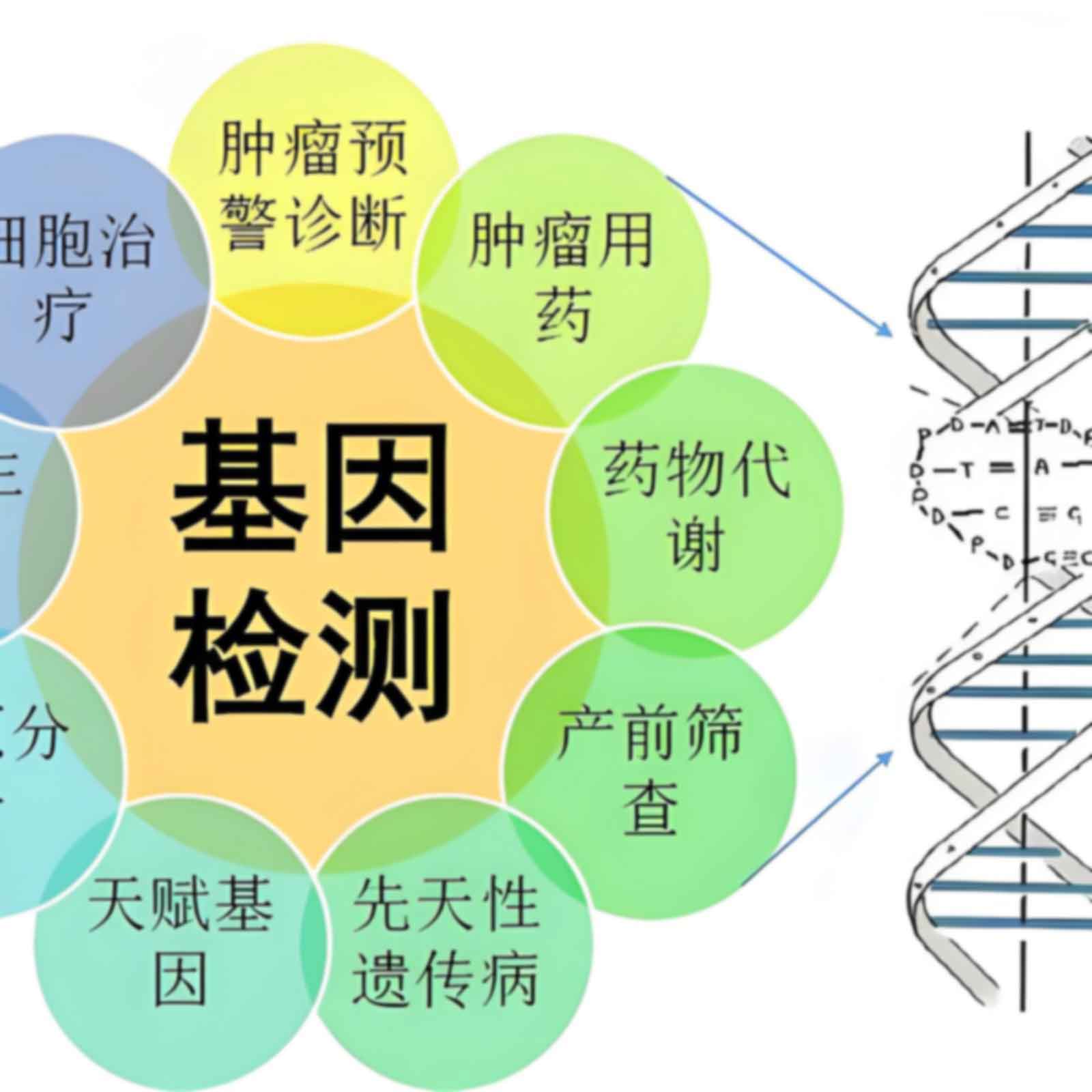 红旗镇孩子落户亲子鉴定怎么做？